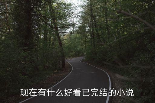 已完結好看的小說，求好看點的已經完結的書