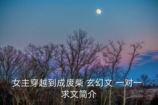 邪顏，女主穿越到成廢柴 玄幻文 一對一 求文簡介
