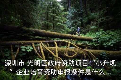 深圳市 光明區(qū)政府資助項(xiàng)目“小升規(guī)”企業(yè)培育資助申報(bào)條件是什么...