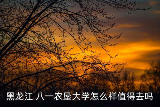 黑龍江 八一農墾大學怎么樣值得去嗎