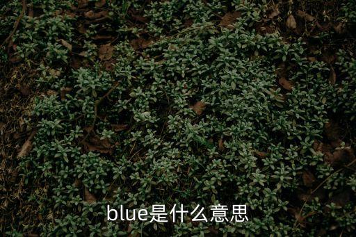 blue的意思，BLUE是什么意思