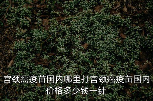 宮頸針一般多少錢,宮頸癌疫苗多少錢一針?打一針要花費多少?
