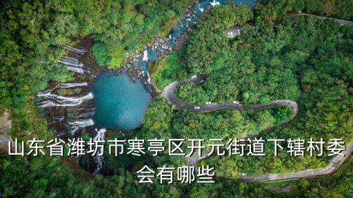 山東省濰坊市寒亭區(qū)開元街道下轄村委會有哪些