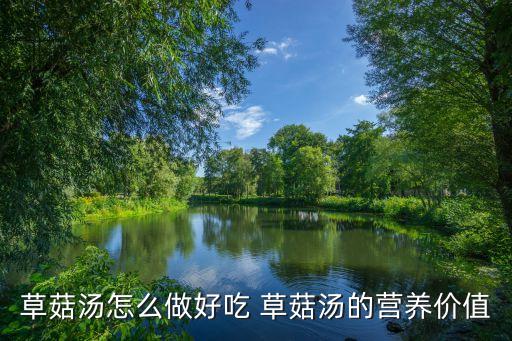 草菇湯，草菇湯的家常做法的家常做法大全怎么做好
