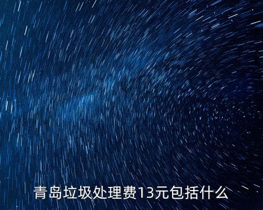 青島垃圾處理費13元包括什么