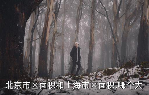 北京市區面積和上海市區面積,哪個大