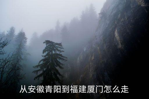 從安徽青陽到福建廈門怎么走