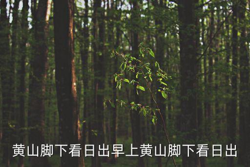 黃山幾點可以上山,黃山最晚幾點上山?一般人三四點就起來