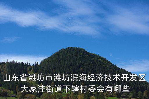 山東省濰坊市濰坊濱海經(jīng)濟技術(shù)開發(fā)區(qū) 大家洼街道下轄村委會有哪些