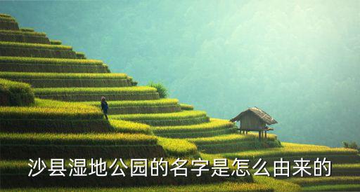 如意湖濕地公園,鄭州濕地公園怎么叫?如意湖又美又濕