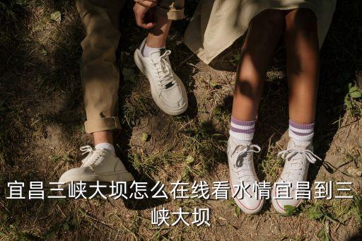 長江水位實時查詢,長江水文網:今天的水位是多少?