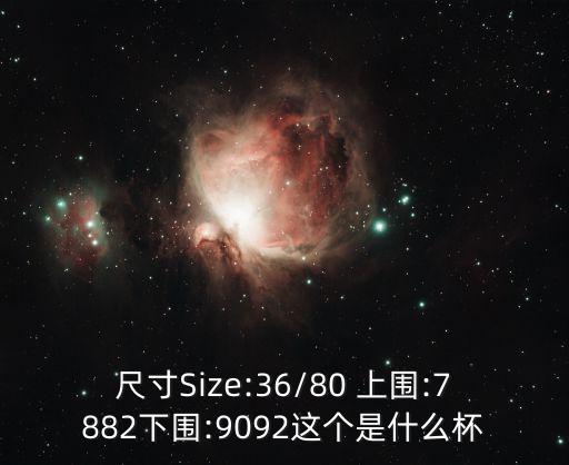 尺寸Size:36/80 上圍:7882下圍:9092這個是什么杯