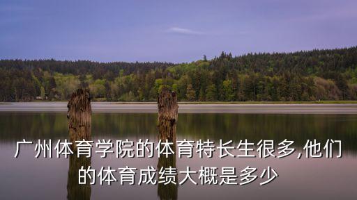 廣州體育學院錄取分數線,浙江廣州體育學院錄取分數線出爐