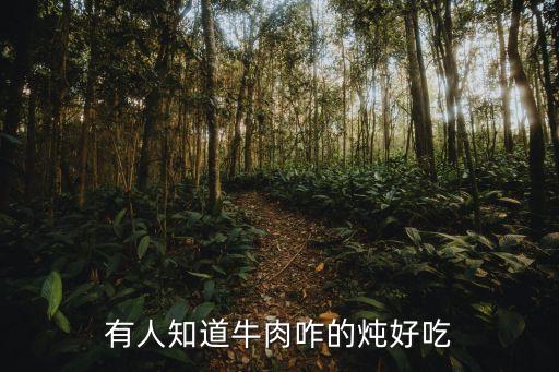 家常燉牛肉的做法，清燉牛肉的最正宗燉法