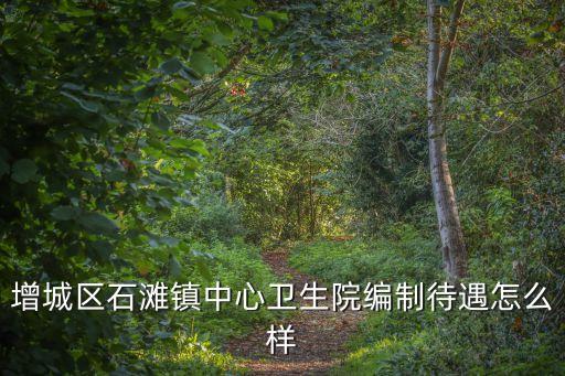 增城區石灘鎮中心衛生院編制待遇怎么樣