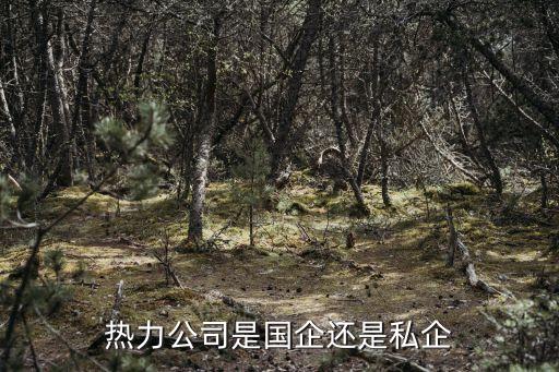 熱力公司是國企還是私企