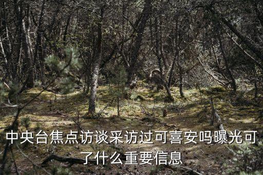 西安美博會,西洽會和絲博會之間的西安美博會