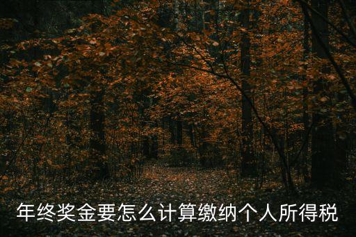 年終獎金要怎么計算繳納個人所得稅