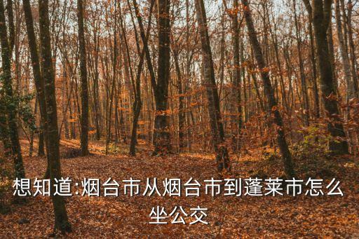 想知道:煙臺市從煙臺市到蓬萊市怎么坐公交