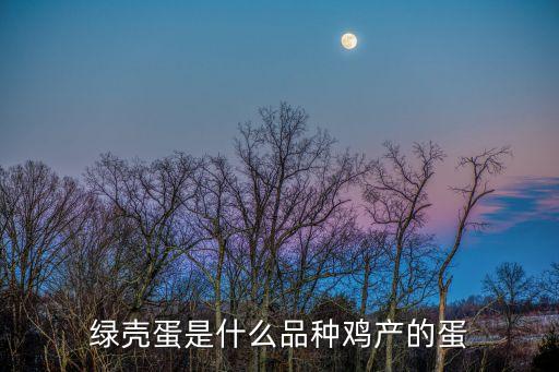 什么雞下綠殼蛋，綠殼蛋是什么品種雞產的蛋