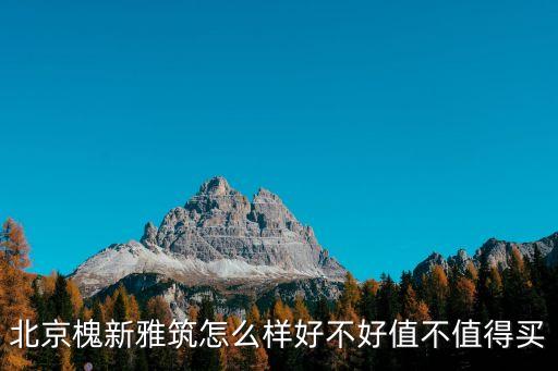 槐新公園,去槐樹公園乘幾路公交車到哪兒?