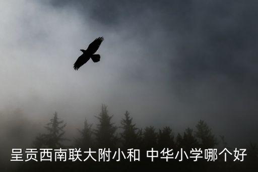 中華小學,盤龍區中華小學六年級新生怎么辦?