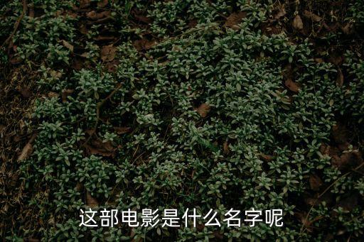 文書(shū)電影，請(qǐng)推薦秘書(shū)題材的電影或視頻