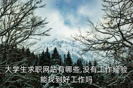 大學生招聘就業網,大學生就業網怎么辦?