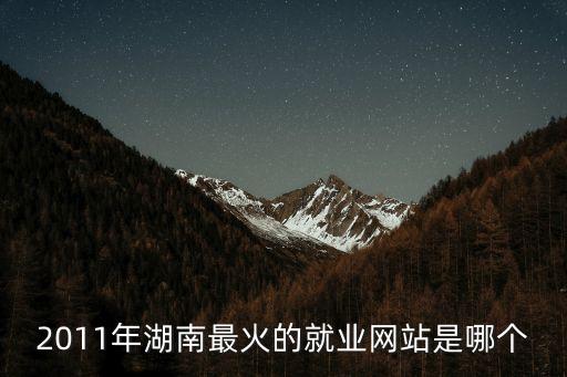 2011年湖南最火的就業網站是哪個