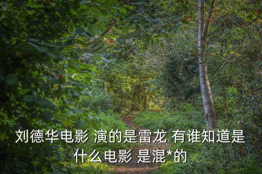 劉德華電影 演的是雷龍 有誰知道是什么電影 是混*的