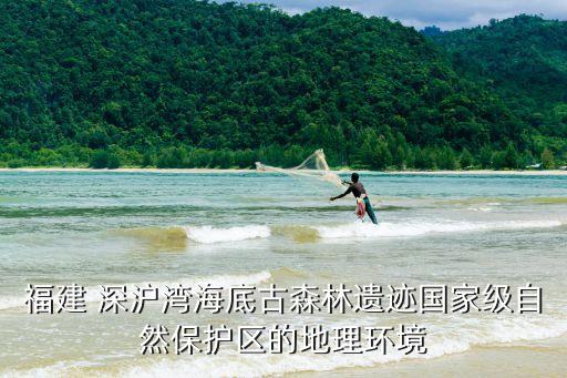 福建 深滬灣海底古森林遺跡國家級自然保護區的地理環境