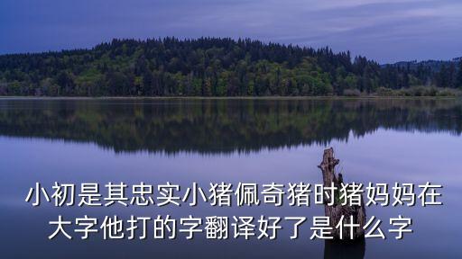  小初是其忠實(shí)小豬佩奇豬時(shí)豬媽媽在大字他打的字翻譯好了是什么字