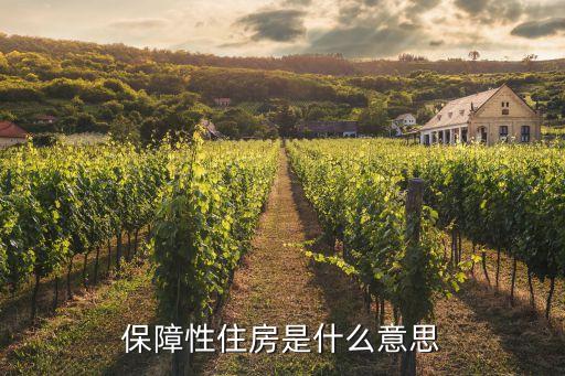 住房保障,我國住房保障有哪些?