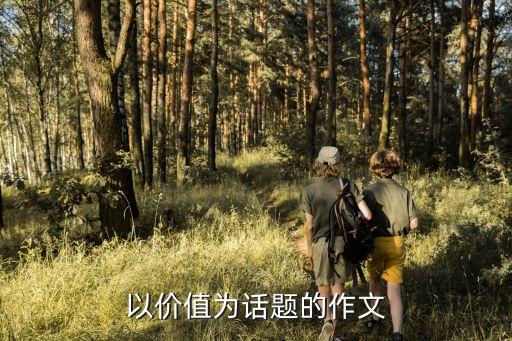 價值作文，以價值為話題的800字高中作文