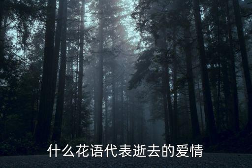 死去的愛情，什么花語代表逝去的愛情