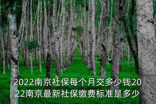 2022南京社保每個月交多少錢2022南京最新社保繳費標準是多少