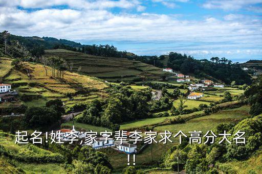 起名!姓李,家字輩李家求個高分大名!!