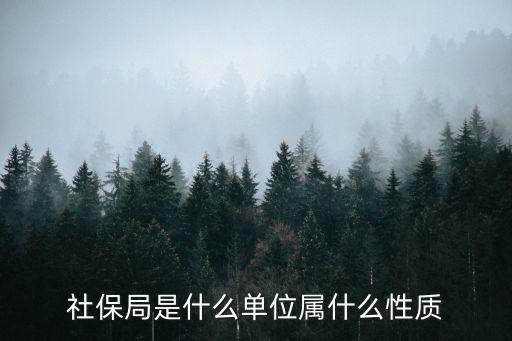 臺山市人力資源和社會保障局,人力資源與社會保障局的職責是什么?