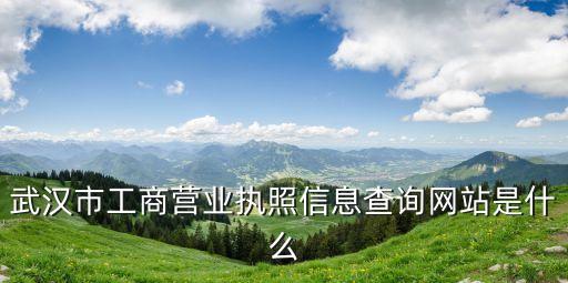 工商執照查詢網,怎么查詢個人工商營業執照?