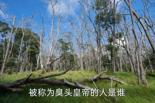 朱元璋哪里人，朱元璋屬什么生肖公園幾年出生公園幾年做皇帝