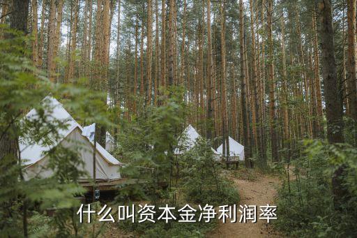資本金利潤率，資本金利潤率是什么意思