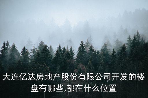 億達云集,大連萬達在房地產已有16年歷史盤盤太多
