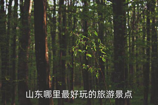 山東哪里最好玩的旅游景點