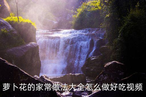家常菜圖片真實，包菜怎么做好吃糖醋包菜怎么燒圖解