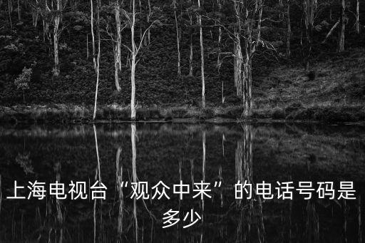 東方網(wǎng)上海頻道,網(wǎng)絡(luò)媒體:騰訊大申網(wǎng)、新浪汽車、網(wǎng)易上海等