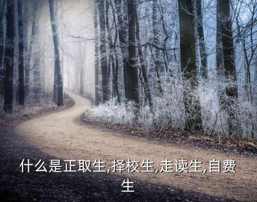 什么是擇校生,擇校生是什么意思?
