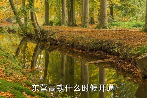 東營高鐵站,東營高鐵什么時候開通?預計2025年開通