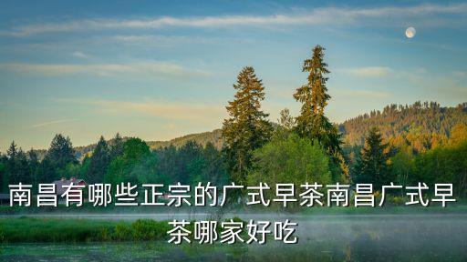 南昌有哪些正宗的廣式早茶南昌廣式早茶哪家好吃