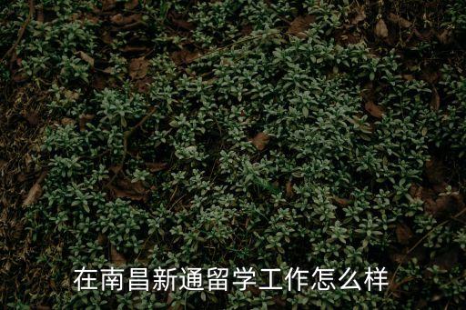 央央春天,從央央春天至萬達茂步行多少公里?
