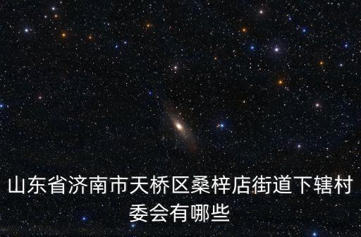 山東省濟南市天橋區(qū)桑梓店街道下轄村委會有哪些